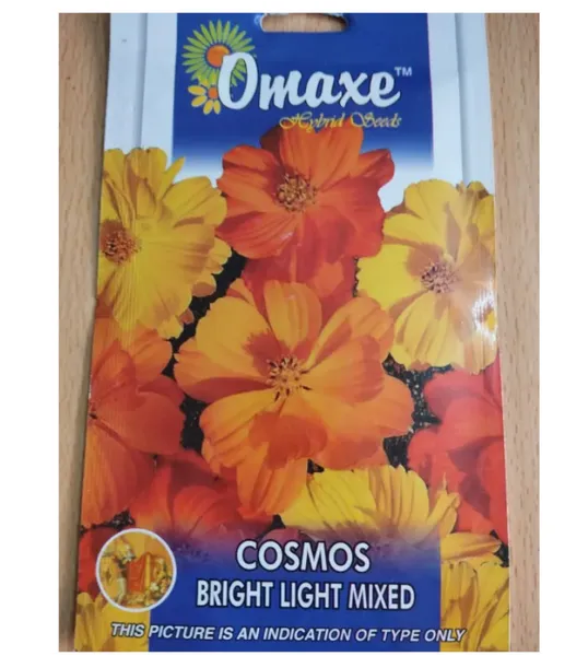 Omaxe Cosmos Bright Light Mixed Flower Seed- 50 Seeds